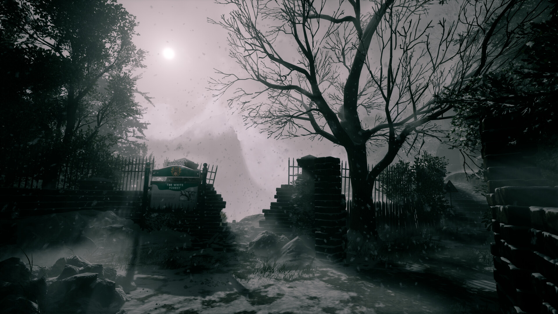 她要离开/She's Leaving-网亿资源平台