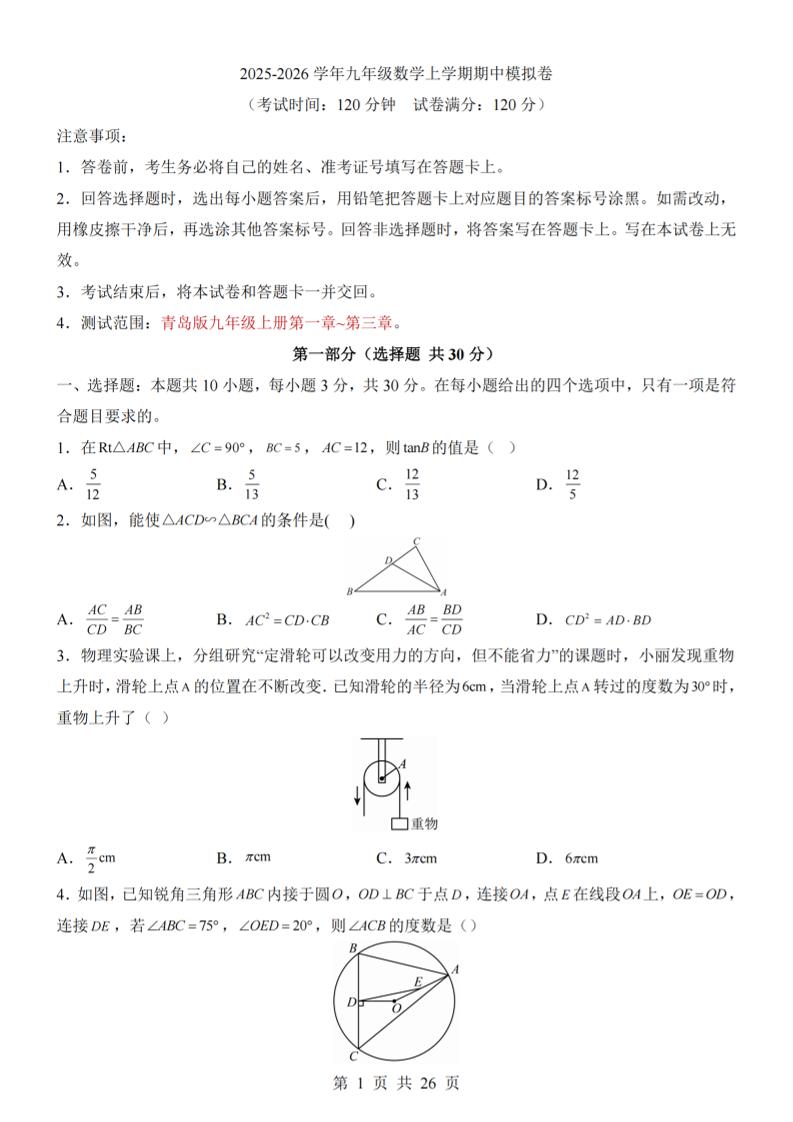 九年级上数学期中模拟卷（青岛版）-网亿资源平台