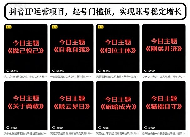 抖音IP运营项目，抖音今日主题玩法，起号门槛低，实现账号稳定增长-邪修侠 - 演示