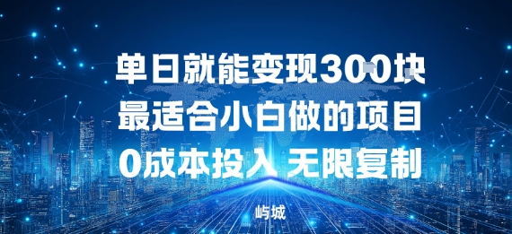 单日就能变现3张，最适合小白做的项目0成本投入，无限复制-网亿资源平台