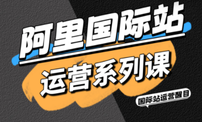 醒目老师·阿里国际站运营系列课(更新3月)-怪兽网创俱乐部