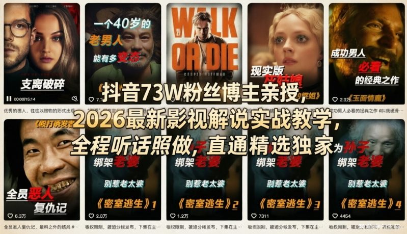 抖音73W粉丝博主亲授，2026最新影视解说实战教学，全程听话照做，直通精选独家-副业资源网