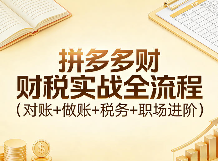 拼多多财税实战全流程(对账+做账+税务+职场进阶)-怪兽网创俱乐部