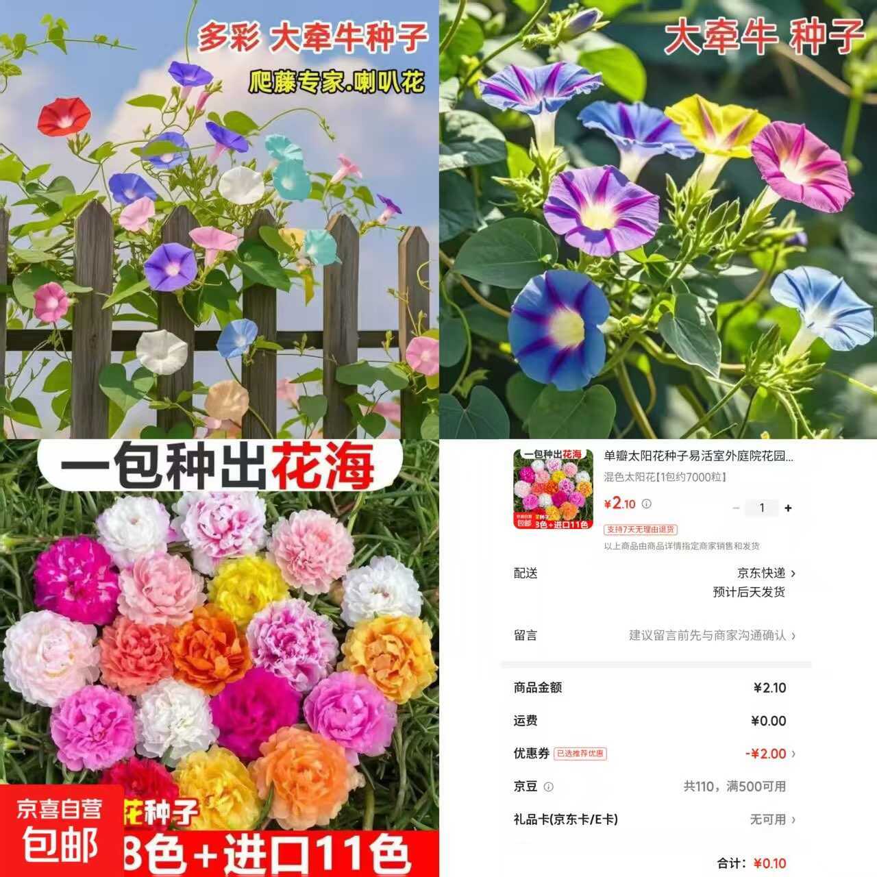 京东0.1太阳花种子约7000粒-小白项目网
