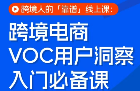 跨境电商VOC用户洞察入门必备课-小白项目网