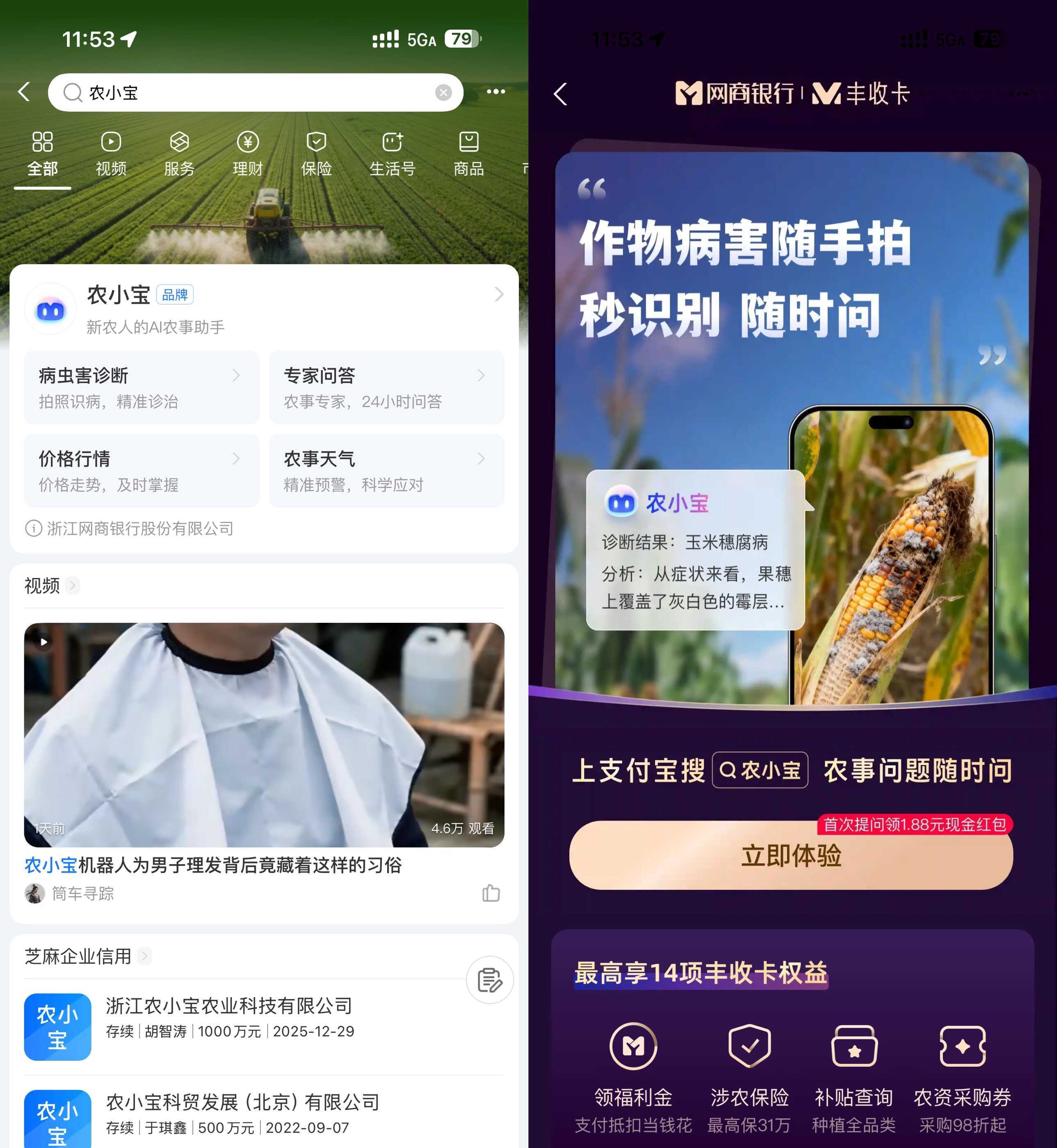 支付宝农小宝首次提问得1.88亓-小白项目网