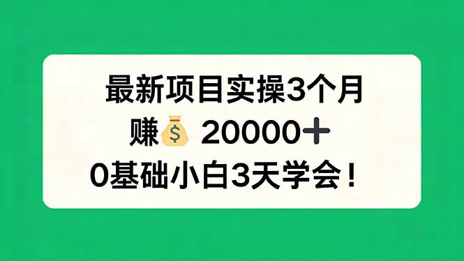 最新项目实操3个月，赚钱20000+，0基础小白3天学会！-小白项目网