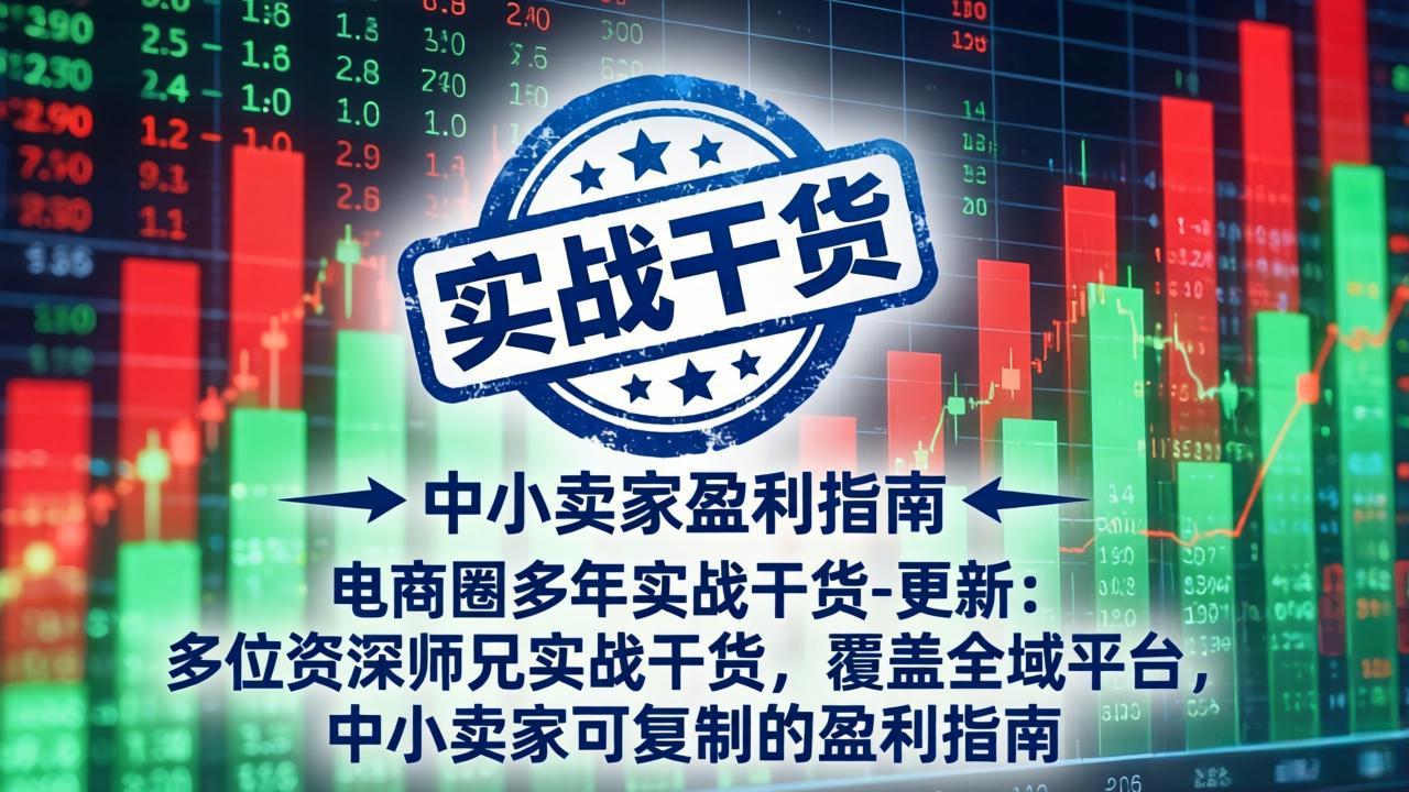 电商圈多年实战干货-更新4月：多位资深师兄实战干货，覆盖全域平台，中小卖家可复制的盈利指南-小白项目网