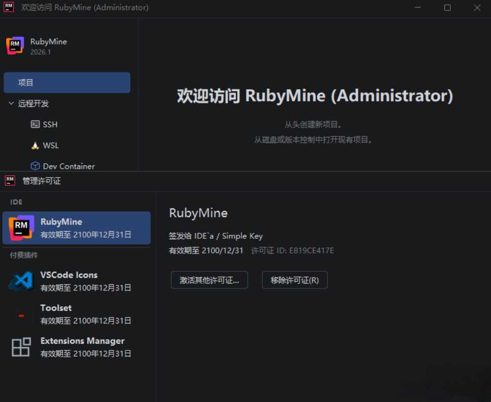 RubyMine v2026.1.0.0 高级版-极栈网络