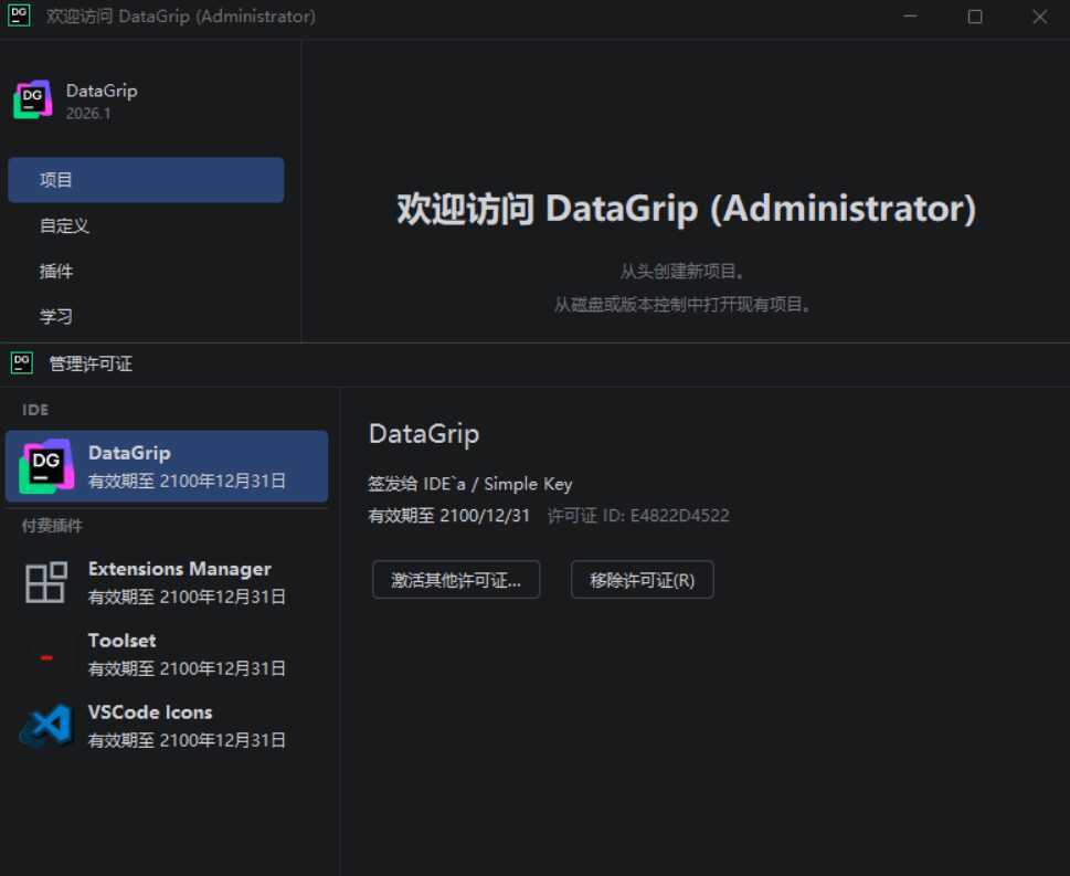 DataGrip v2026.1.0 高级版-极栈网络