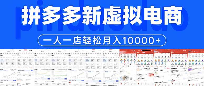 （17978期）拼多多虚拟电商一人一店轻松月入10000+-邪修侠 - 演示