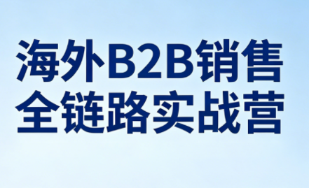 雨哥·海外B2B销售全链路实战营-小白项目网
