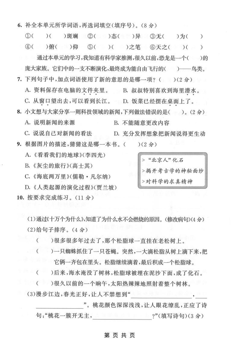 四年级下语文第二单元拔尖测试卷