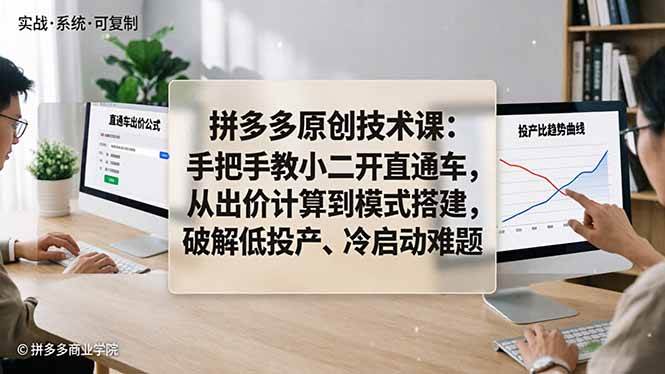 （18159期）拼多多原创技术课：手把手教小二开直通车，从出价计算到模式搭建，破解低投产、冷启动难题-邪修侠 - 演示