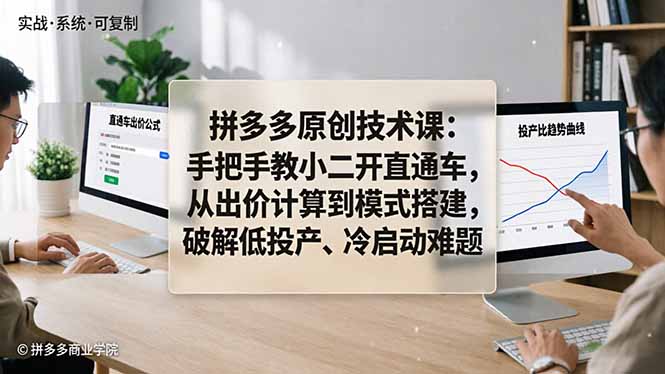 拼多多原创技术课：手把手教小二开直通车，从出价计算到模式搭建，破解低投产、冷启动难题-怪兽网创俱乐部