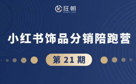 盗坤·抖音小红书视频号短视频带货与直播变现(11-21期)【更新】-网创百晓生