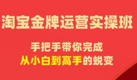 飓风电商·淘宝金牌运营实操班-怪兽网创俱乐部
