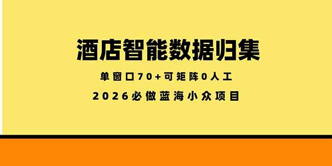 （18500期）酒店智能数据归集，小众蓝海已经稳定半年之久，单窗口70+零成本矩阵开干-邪修侠 - 演示