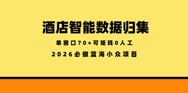 酒店智能数据归集，小众蓝海已经稳定半年之久，单窗口70+零成本矩阵开干【揭秘】-怪兽网创俱乐部