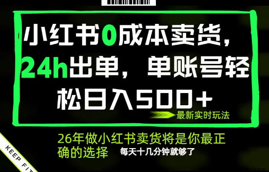 小红书0成本AI卖货，24小时出单，全流程托管，保底日入500+，每天十几分钟就够了【揭秘】-多课资源站