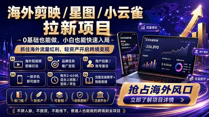 （18567期）海外剪映 / 星图 / 小云雀拉新项目 普通人也能上手的跨境流量变现副业-邪修侠 - 演示