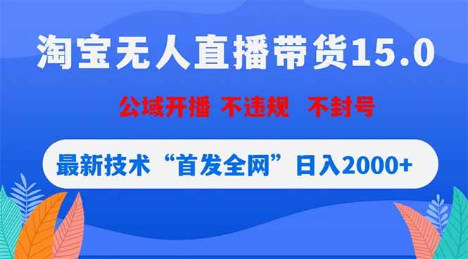 （18562期）淘宝无人直播带货15.0，不封号，不违规，公域玩法，首发全网日入2000+-小白项目网