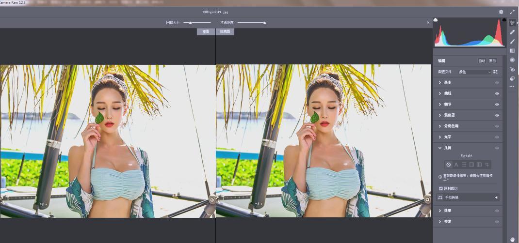 RAW处理Adobe Camera Raw v18.3.1中文版 RAW处理Adobe Camera Raw v18.3.1中文版