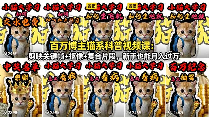 百万博主猫系科普视频课：剪映关键帧+抠像+复合片段，新手也能月入过万-网创百晓生
