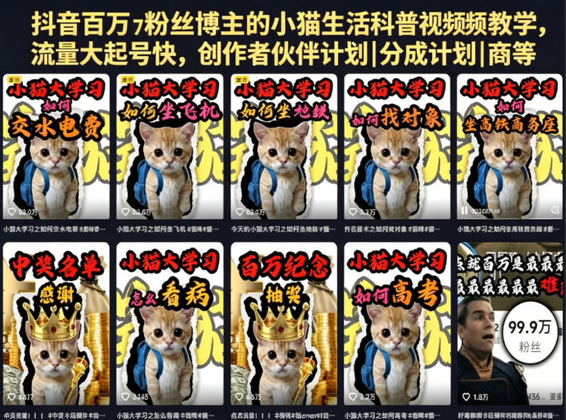 抖音百万粉丝博主的小猫生活科普视频教学，流量大起号快，创作者伙伴计划|分成计划|商单|收徒等-怪兽网创俱乐部