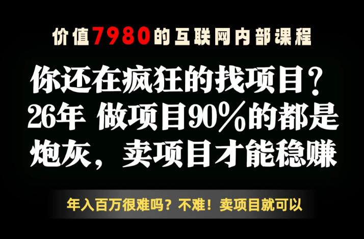 26年请不要疯狂的找项目了,卖项目远比你想象的暴利,你也可以月入10W+【揭秘】-羽桐社资源站