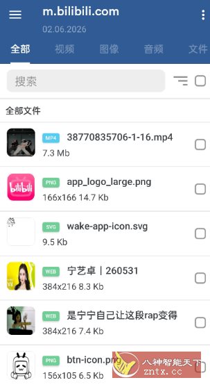GetThemAll全能下载器3.6.5高级版：免费批量嗅探B站视频图片