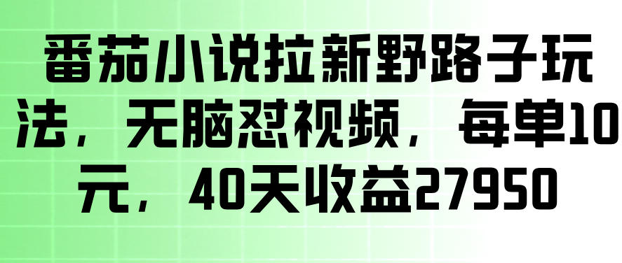 番茄小说拉新野路子玩法，无脑怼视频，玩法简单、见效快，每单10米，40天收益27950-优优云网创
