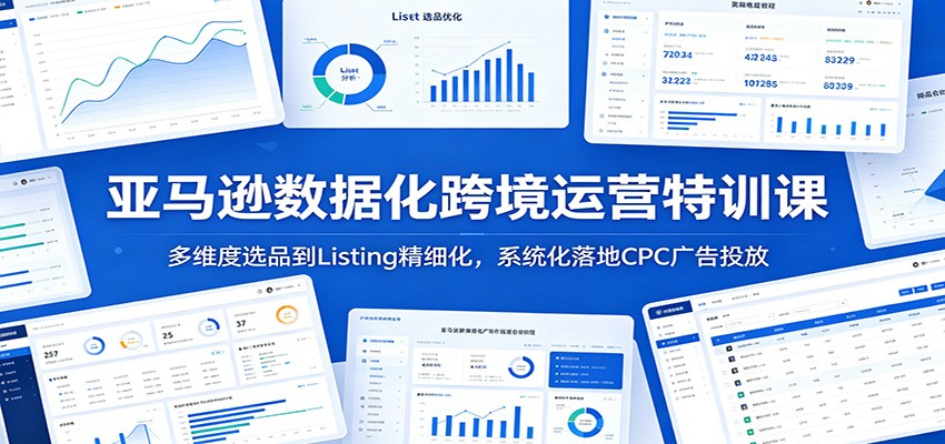 亚马逊数据化跨境运营特训课：多维度选品到Listing精细化，系统化落地CPC广告投放-邪修侠 - 演示