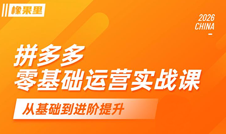 仙道电商·拼多多零基础运营实战课-网创百晓生