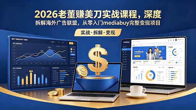 （18935期）2026老董赚美刀实战课程，深度拆解海外广告联盟，从零入门mediabuy完整变现项目-邪修侠 - 演示