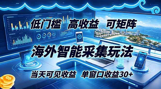 （18955期）海外智能采集玩法，低门槛高单价可矩阵，当天可见收益，单窗口30+-小白项目网