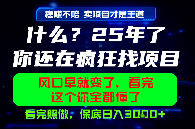 26年,请不要疯狂的找项目做了!卖项目才是真的稳賺不赔,看完照做,保底日入1k+【揭秘】-多课资源站