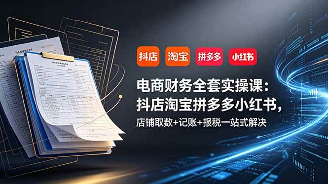 (19001期)电商财务全套实操课:抖店淘宝拼多多小红书,店铺取数+记账+报税一站式解决-邪修侠
