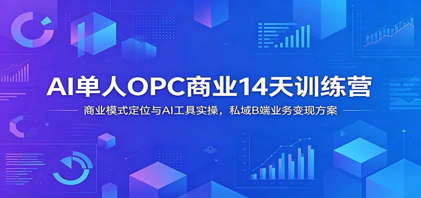 AI单人OPC商业14天训练营：商业模式定位与AI工具实操，私域B端业务变现方案-小栈博客