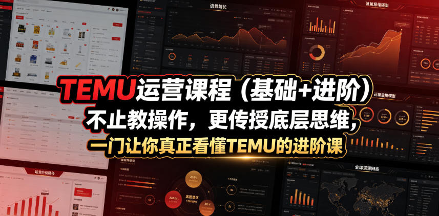 TEMU运营课程（基础+进阶），不止教操作，更传授底层思维，一门让你真正看懂TEMU的进阶课-优优云网创