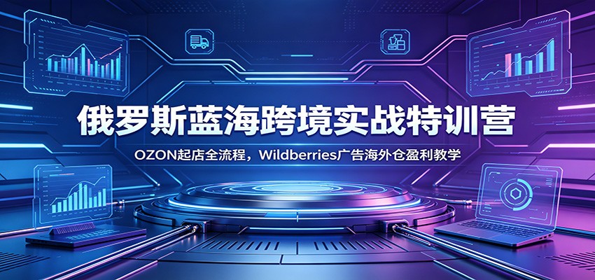 俄罗斯蓝海跨境实战特训营：OZON起店全流程，Wildberries广告海外仓盈利教学-邪修侠 - 演示
