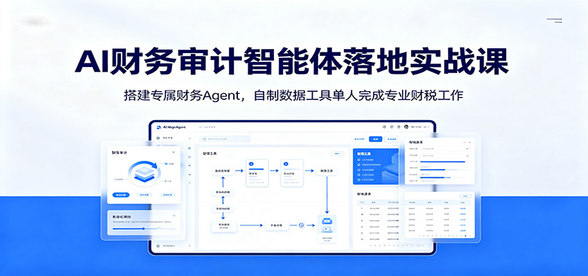 AI财务审计智能体落地实战课：搭建专属财务Agent，自制数据工具单人完成专业财税工作-邪修侠 - 演示