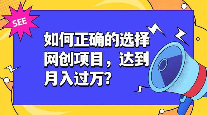 （19176期）如何正确的选择网创项目，达到月入过万？，本课程教你正确选择项目。-邪修侠 - 演示