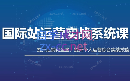 白老师·国际站运营实战系统(高质量询盘增长课)(更新)-怪兽网创俱乐部
