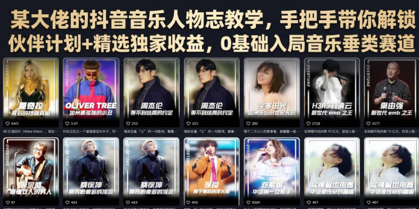 某大佬的抖音音乐人物志教学，手把手带你解锁伙伴计划+精选独家收益，0基础入局音乐垂类赛道-小白项目网