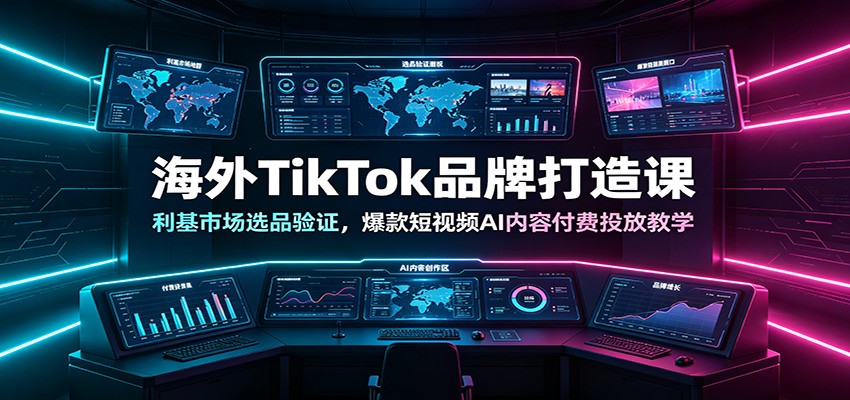 海外TikTok品牌打造课：利基市场选品验证，爆款短视频AI内容付费投放教学-邪修侠 - 演示