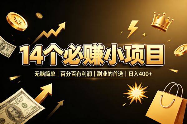 （19267期）14 个必赚小项目，无脑简单，百分百有利润，副业的首选，日入 400+-邪修侠 - 演示