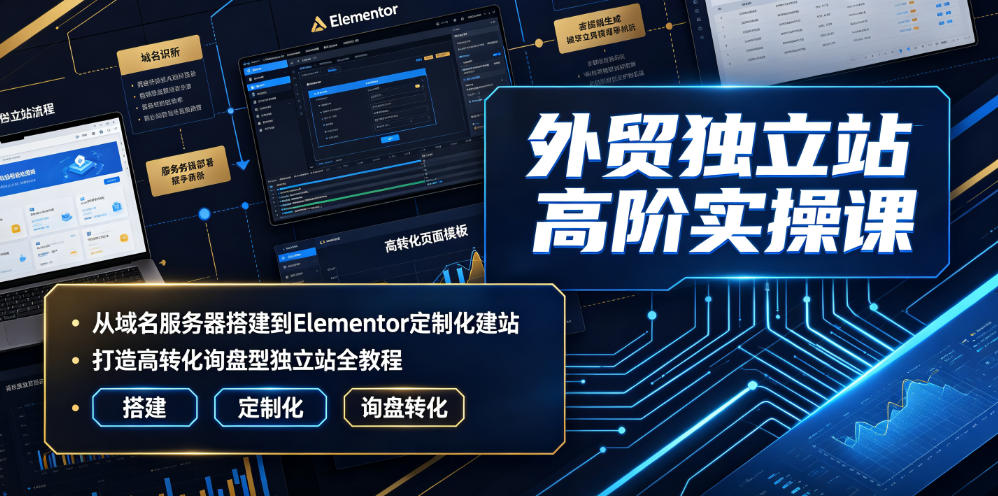 外贸独立站高阶实操课｜从域名服务器搭建到Elementor定制化建站，打造高转化询盘型独立站全教程-小白项目网