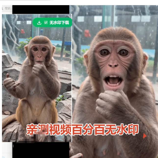 (19358期)豆包无水印下载终于来了!支持豆包图片/视频,目前唯一免费使用的插件,浏览器拓展 (19358期)豆包无水印下载终于来了!支持豆包图片/视频,目前唯一免费使用的插件,浏览器拓展