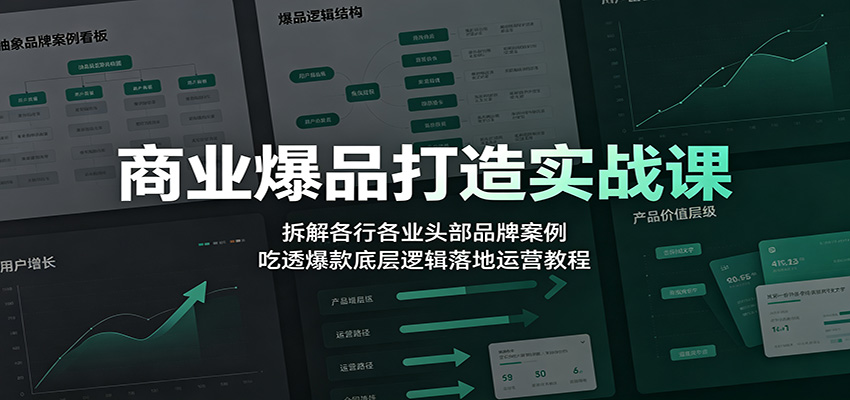 商业爆品打造实战课：拆解各行各业头部品牌案例，吃透爆款底层逻辑落地运营教程-邪修侠 - 演示